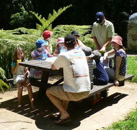The Pines picnic area - Tourism Brisbane