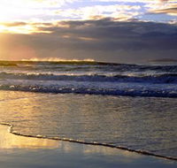 Handkerchief Beach Picnic Area - Brisbane Tourism