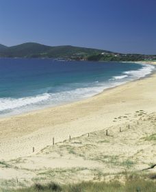 Forster NSW Tourism Brisbane