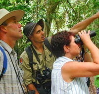 Falls walking track - Tourism Brisbane