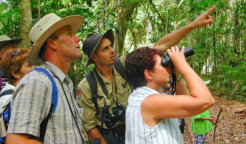 Falls Walking Track - Tourism Brisbane 0