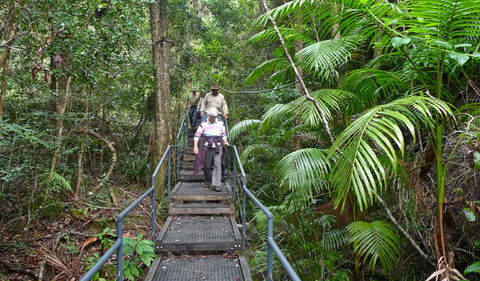 Falls Walking Track - Tourism Brisbane 2