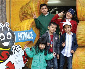 Superbee Honeyworld Gold Coast - Tourism Brisbane 3