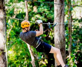 TreeTop Challenge Currumbin - Tourism Brisbane 0