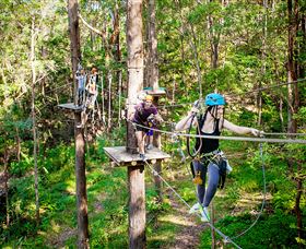 TreeTop Challenge Currumbin - Tourism Brisbane 1