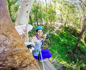 TreeTop Challenge Currumbin - Tourism Brisbane 3