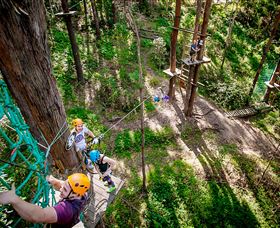 TreeTop Challenge Currumbin - Tourism Brisbane 2