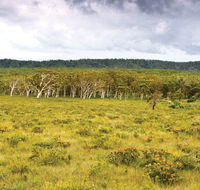 Yuraygir National Park - Tourism Brisbane