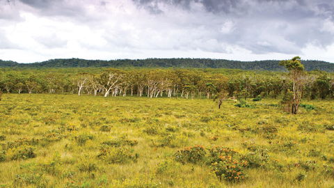 Yuraygir National Park - Tourism Brisbane 0