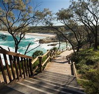 North Gorge Walk - Tourism Brisbane