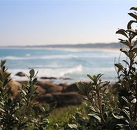 Cape Conran Nature Trail - Tourism Brisbane