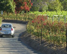 Cassegrain Wines - Brisbane Tourism 0