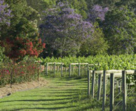 Cassegrain Wines - Brisbane Tourism 1