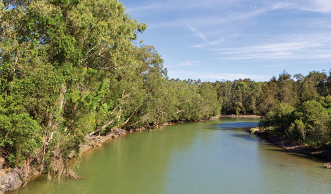 Woolgoolga Lake - Brisbane Tourism 1