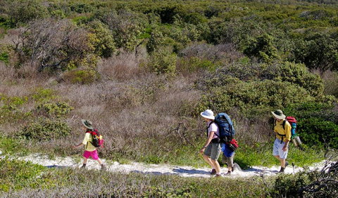 Yuraygir Coastal Walk - Tourism Brisbane 0