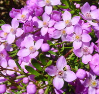 Broadwater National Park - Tourism Brisbane