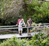 Wilsons Headland walking track - Tourism Brisbane