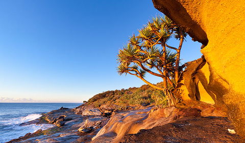 Angourie To Brooms Head - Tourism Brisbane 1