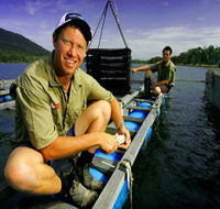 Armstrong Oysters - Tourism Brisbane