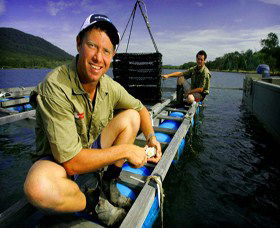 Armstrong Oysters - Tourism Brisbane 0