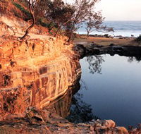 Angourie Blue Pool - Tourism Brisbane
