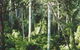 Lind National Park - thumb 0