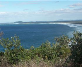 Delicate Beach - Tourism Brisbane 0