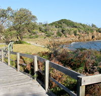 Mimosa Rocks walking track - Tourism Brisbane