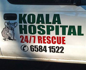 Koala Hospital - Tourism Brisbane 8
