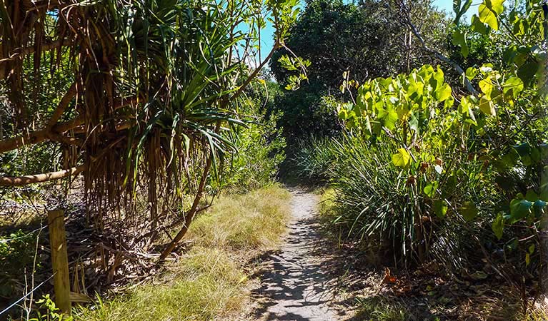 New Brighton NSW Tourism Brisbane