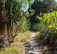 North Head walking track - Tourism Brisbane