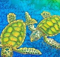 Sea Silks Gallery - Brisbane 4u