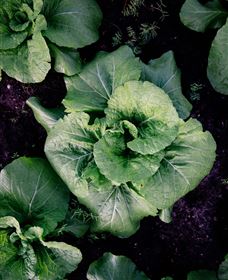 Yoga Retreat - Tourism Brisbane 5