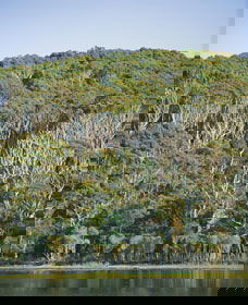 Ben Boyd National Park - Tourism Brisbane 5