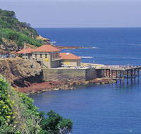 Merimbula Aquarium - Tourism Brisbane