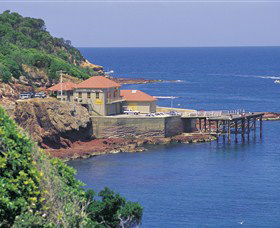 Merimbula Aquarium - Tourism Brisbane 0