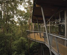 Tarkine Forest Adventures - Dismal Swamp - Tourism Brisbane 0