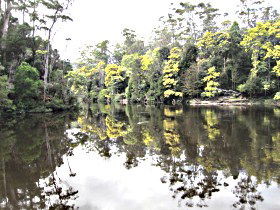 Arthur River TAS Tourism Brisbane