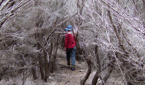 Nadgee Nature Reserve - Brisbane 4u 3