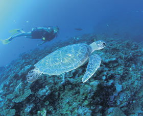 Ningaloo Reef - Tourism Brisbane 1