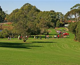 Richard Gutteridge Gardens - Tourism Brisbane 3