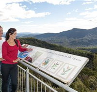 Whyte Hills Lookout - Tourism Brisbane