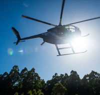 Tall Timbers Adventure Tours - Tourism Brisbane