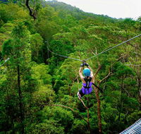 Canyon Flyer - Tourism Brisbane