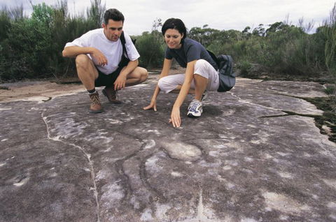 Sydney Coast Walks - Brisbane 4u 3