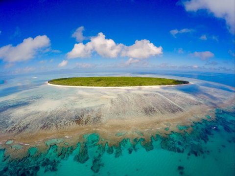 Curtis Ferry Services - Brisbane Tourism 2