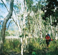 Thorsborne Trail Hinchinbrook Island National Park - Brisbane Tourism
