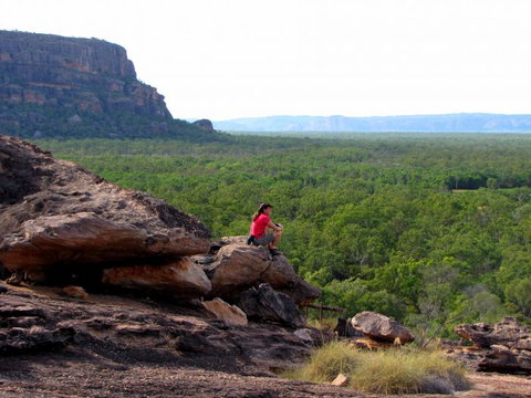 Echidna Walkabout Nature Tours - Tourism Brisbane 21