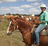 Myella Farm Stay Tours - Tourism Brisbane