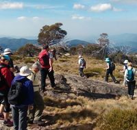 Hedonistic Hiking - Tourism Brisbane